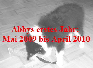 Abbys erstes Jahr: 
Mai 2009 bis April 2010